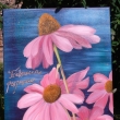 Echinacea - olej