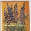 karton v d�ev�n�m r�mu 31,5 x 41,5cm