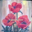Vl�� m�ky 30x29cm prod�no