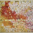 Kytikov - akryl na pltn 50x70cm cena 848,-K